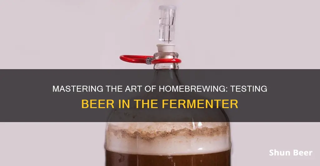 how to test beer that is still in fermenter