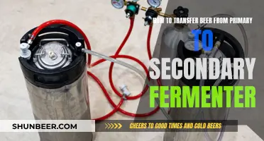 Mastering the Beer Transfer: Tips for a Smooth Secondary Fermentation