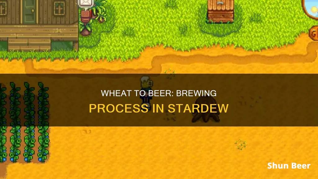 how to turn wheat into beer stardew