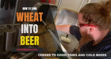 Wheat to Beer: Brewing Process Explained