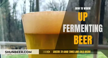 Mastering the Art of Warming Up Your Fermenting Beer: A Guide