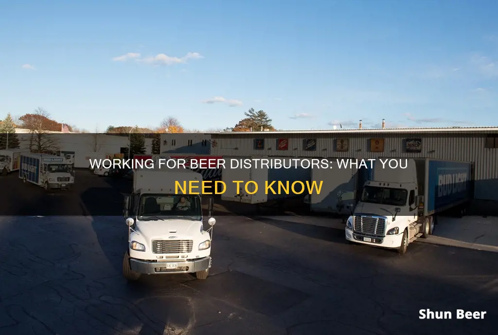 how to work for a beer distributor