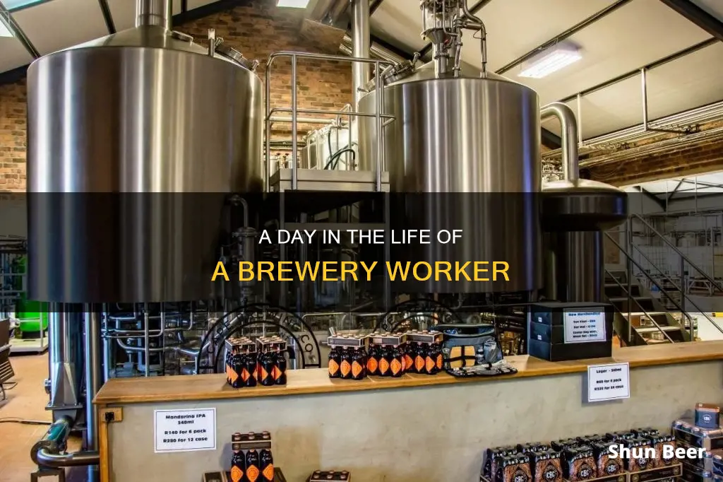 how to work in a beer brewery