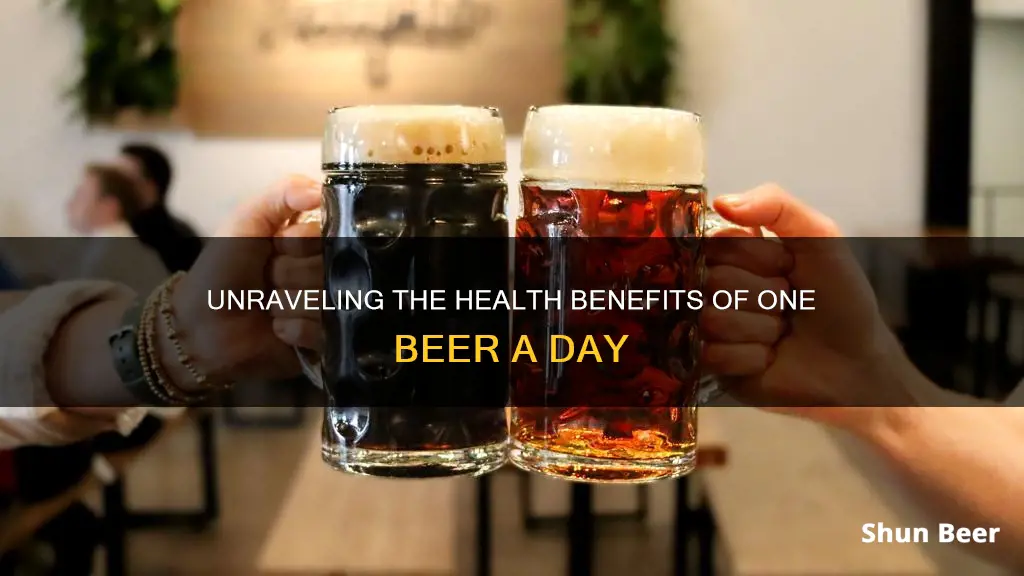 is 1 beer a day healthy