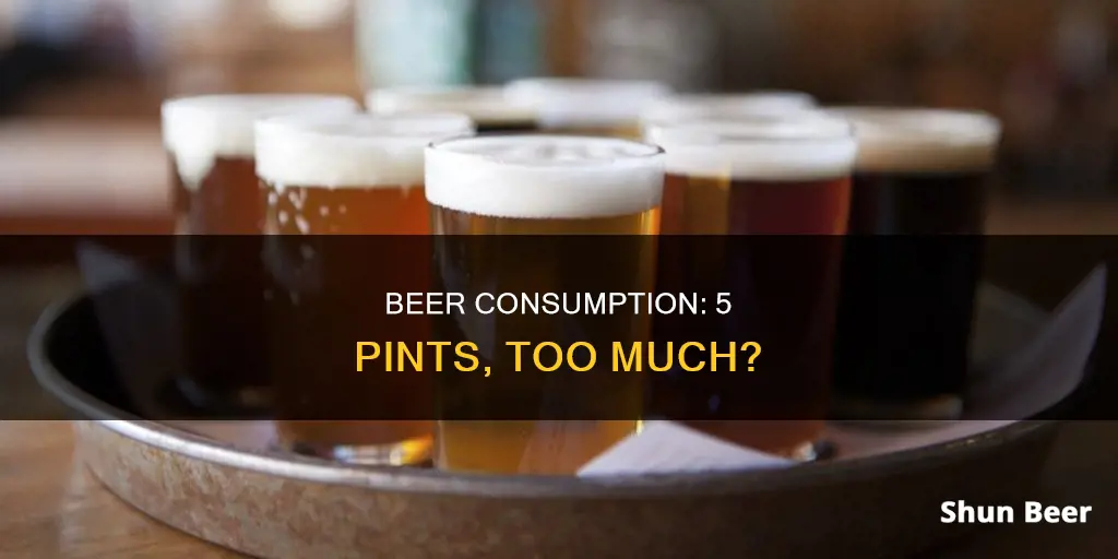 is 5 pints of beer a lot