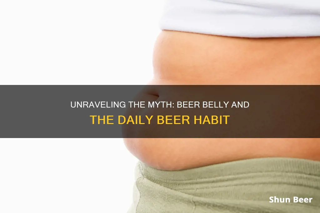 is a beer a day beer belly