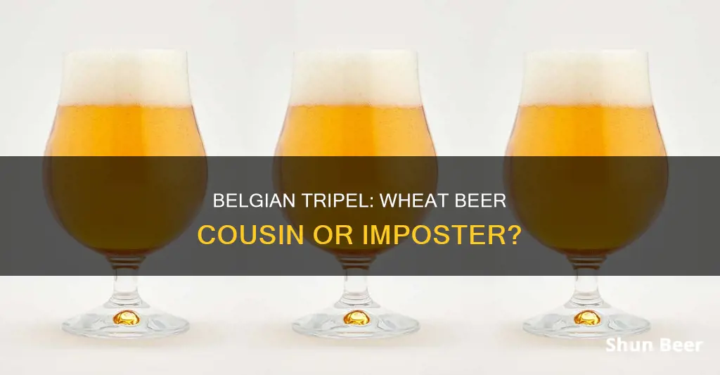 is a belgian tripel a wheat beer