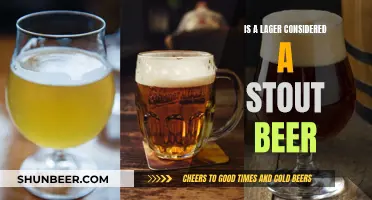 Lager vs. Stout: Unraveling the Beer Style Mystery