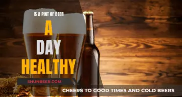 Beer Drinking: Healthy Habit or Health Hazard?