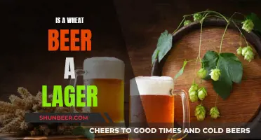 Wheat Beer and Lager: What's the Difference?