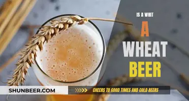 What's the Difference Between Wheat and Witbier?