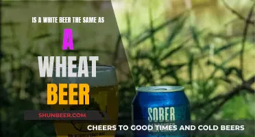 White Beer vs Wheat Beer: What's the Difference?