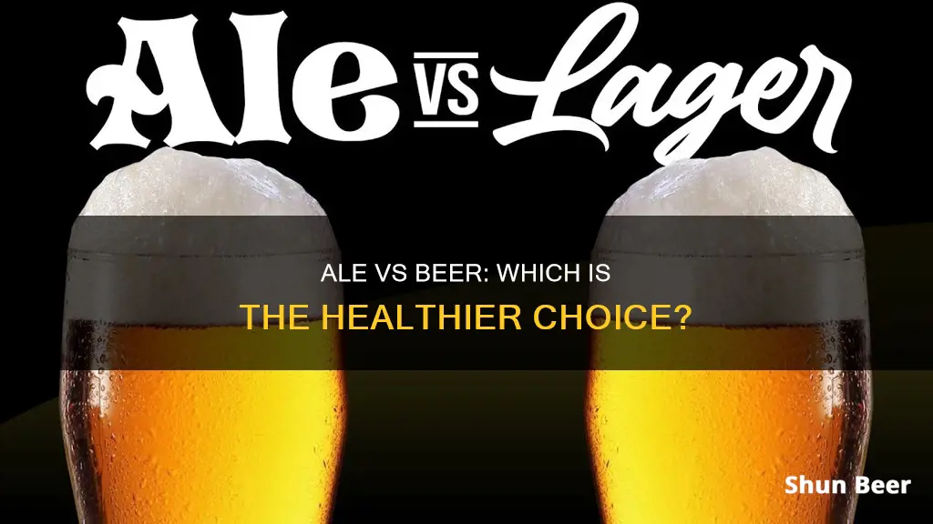 Ale Vs Beer: Which Is The Healthier Choice? | ShunBeer