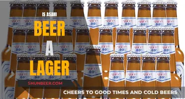 Asahi Beer: Exploring the Lager Category