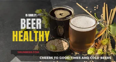 Barley Beer: Healthy Beverage or Unhealthy Indulgence?