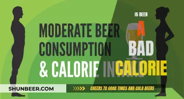 Beer Calories: Friend or Foe?