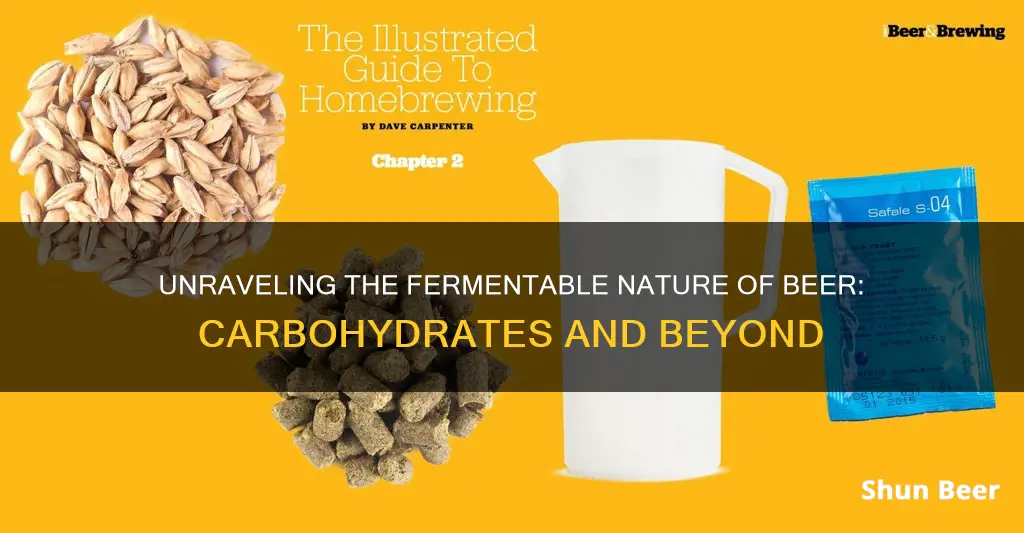 is beer a fermentable carbohydrate