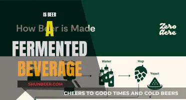 Unraveling the Magic: Is Beer Fermented?