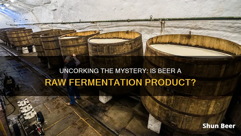 is beer a raw fermentation product