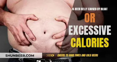 Beer Belly: Bloat or Excessive Calories?