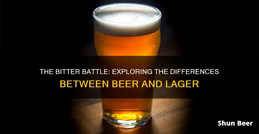 is beer bitter or lager