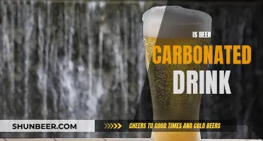 Beer's Carbonation: What Makes it Fizz?