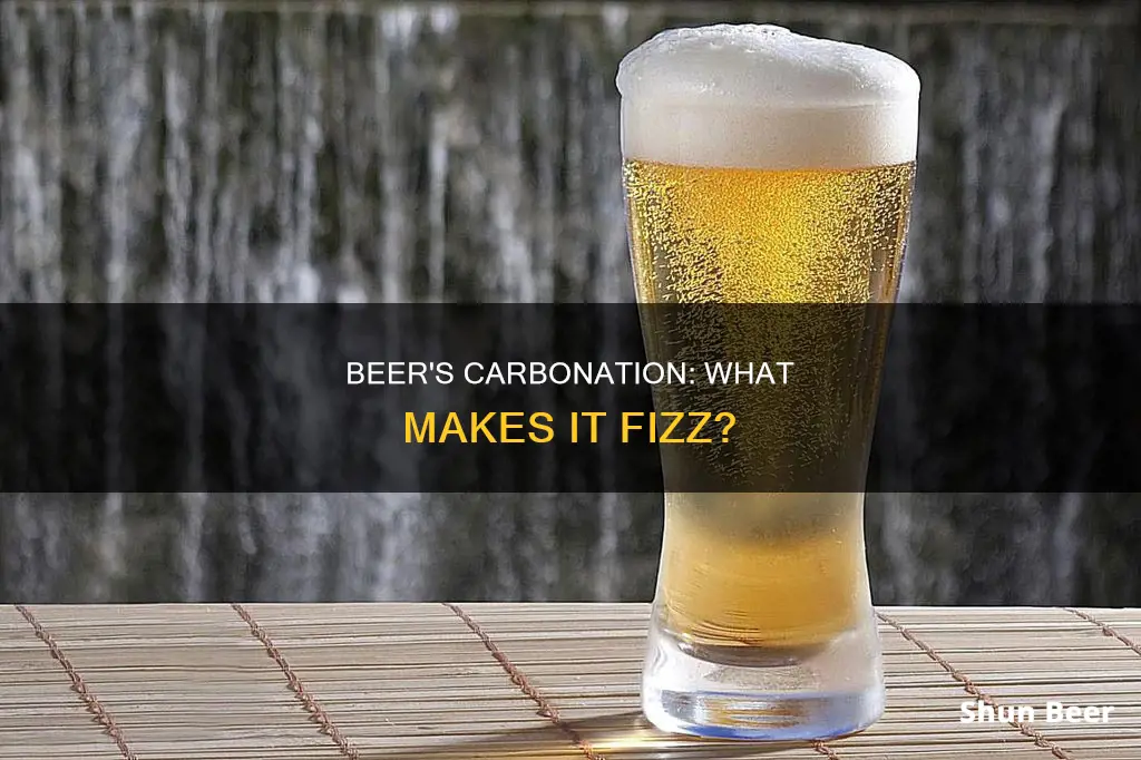 is beer carbonated drink