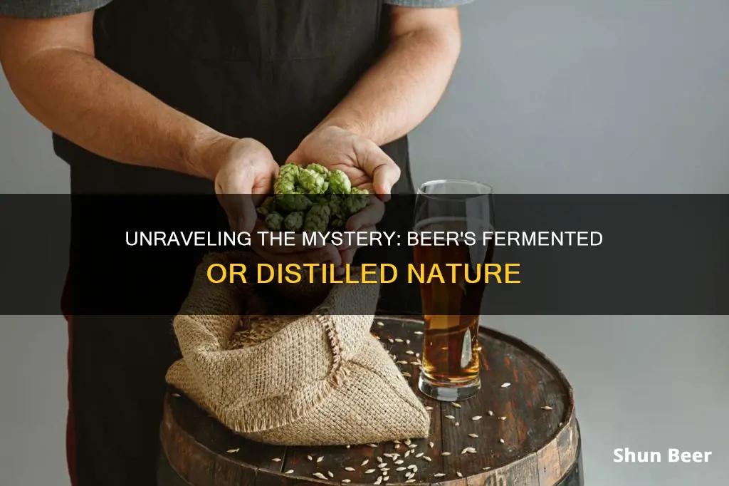 is beer distilled or fermented