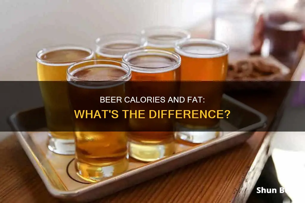 is beer fat content the ame as beer calories