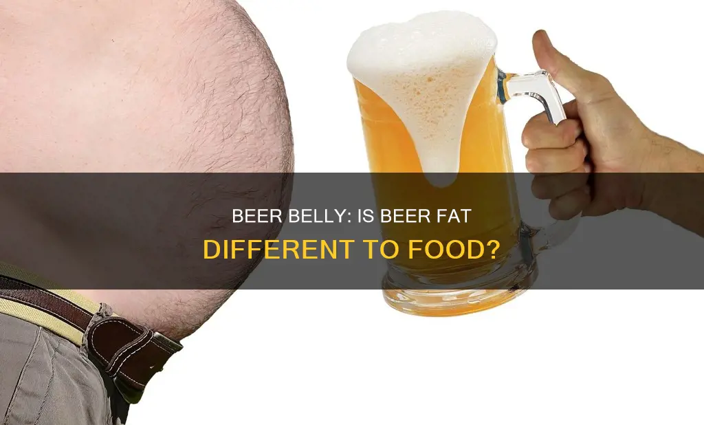 is beer fat different to food