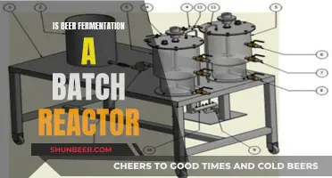 The Batch Reactor Debate: Beer's Fermentation Process Explored