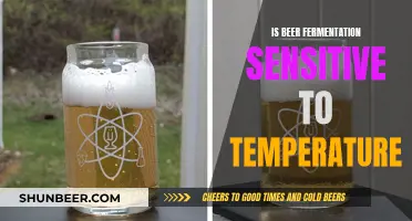 Temperature's Impact on Beer Fermentation: A Sensitivity Study