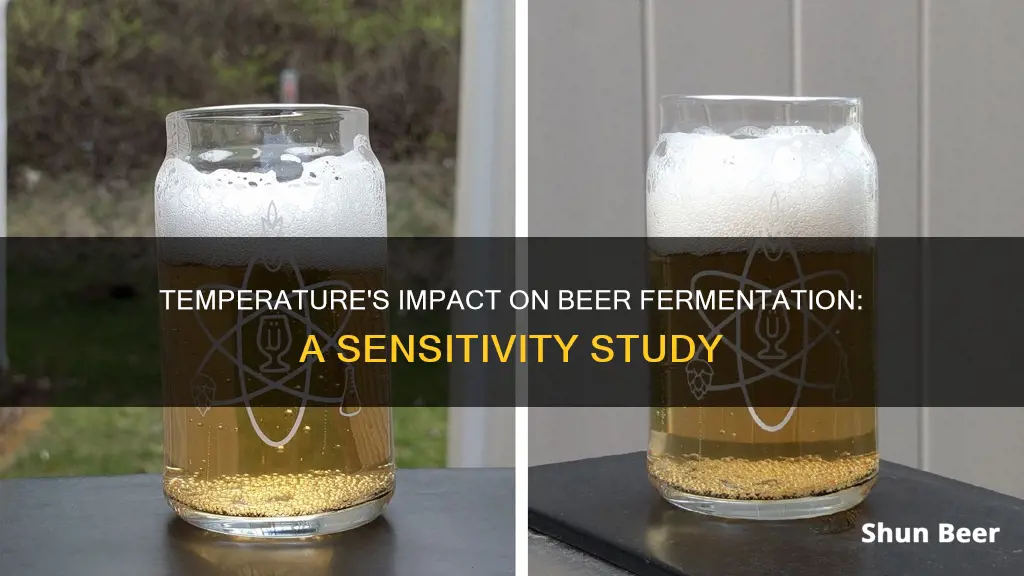 is beer fermentation sensitive to temperature