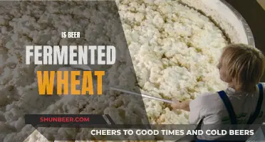 Uncovering the Truth: Is Beer Made from Fermented Wheat?