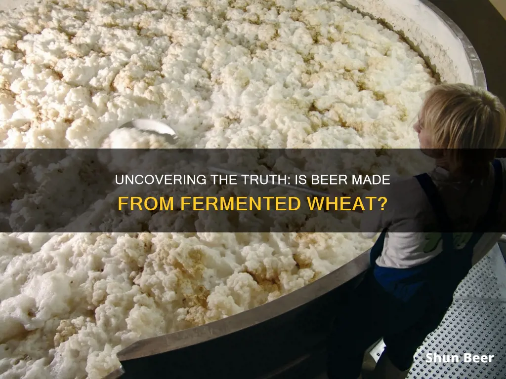 is beer fermented wheat