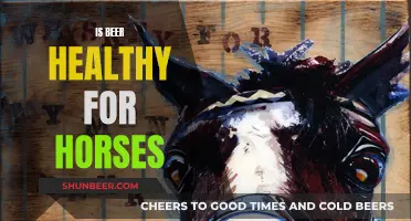 Beer for Horses: Healthy Treat or Harmful Indulgence?