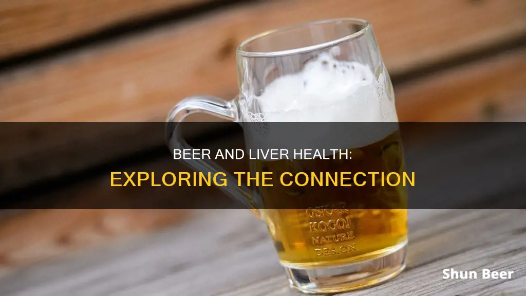 is beer healthy for liver