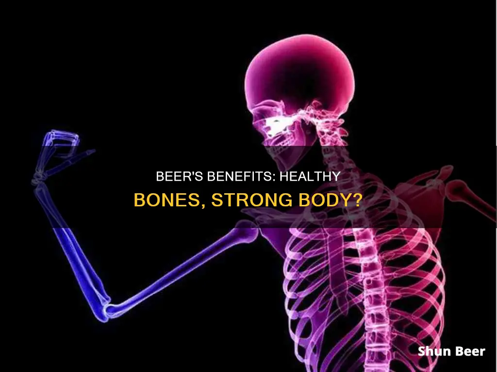 is beer healthy for your bones