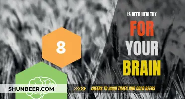 Beer's Brain Benefits: Healthy or Hype?