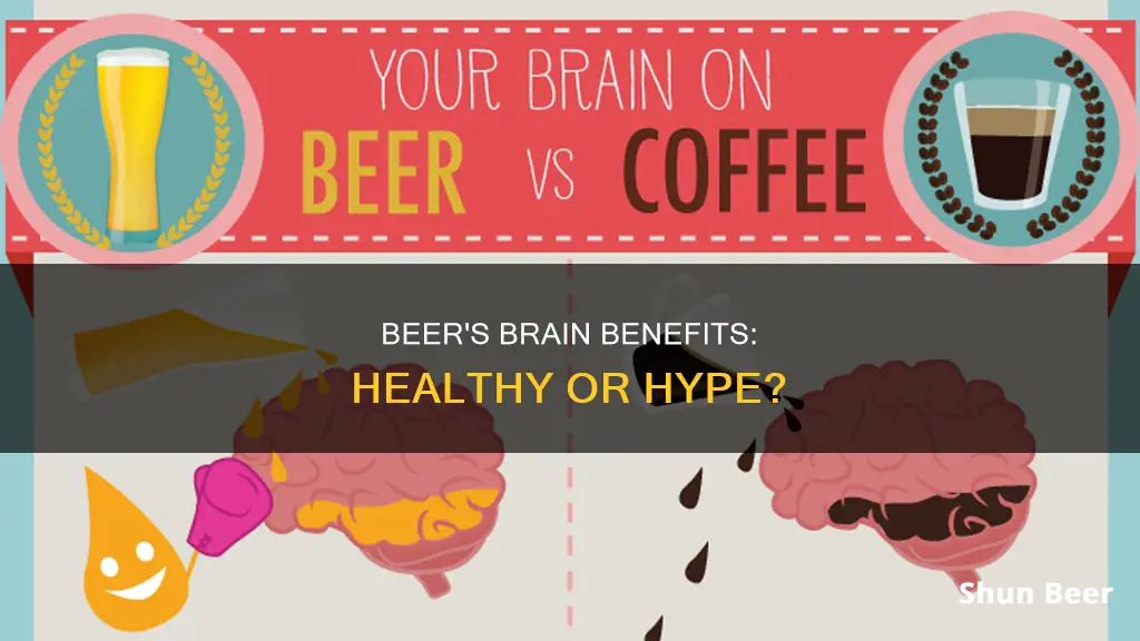 is beer healthy for your brain