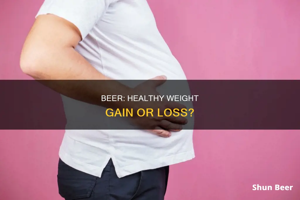 is beer healthy weight gain