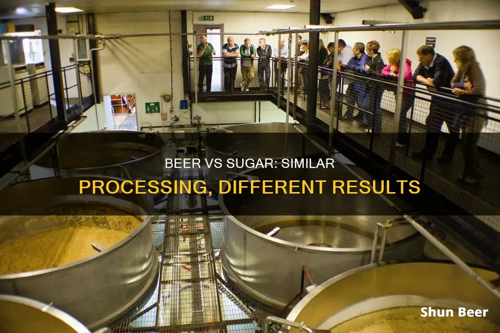 is beer processed the same way of sugar is