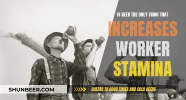 Beer and Worker Stamina: Is There a Link?