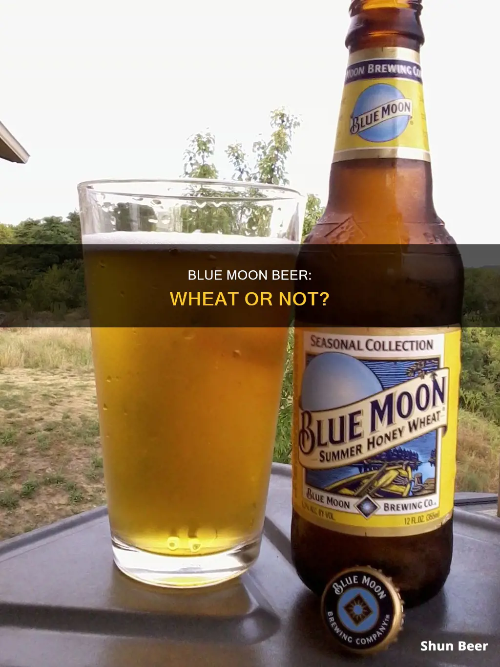 is blue moon a wheat beer