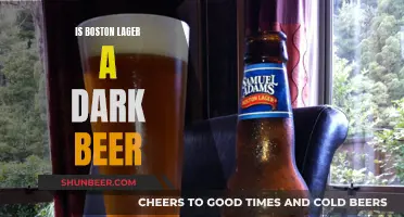 Is Boston Lager Dark? Unveiling the Mystery