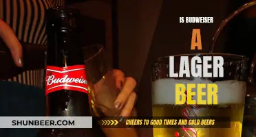 Budweiser: A Lager or Not? Unraveling the Beer Mystery