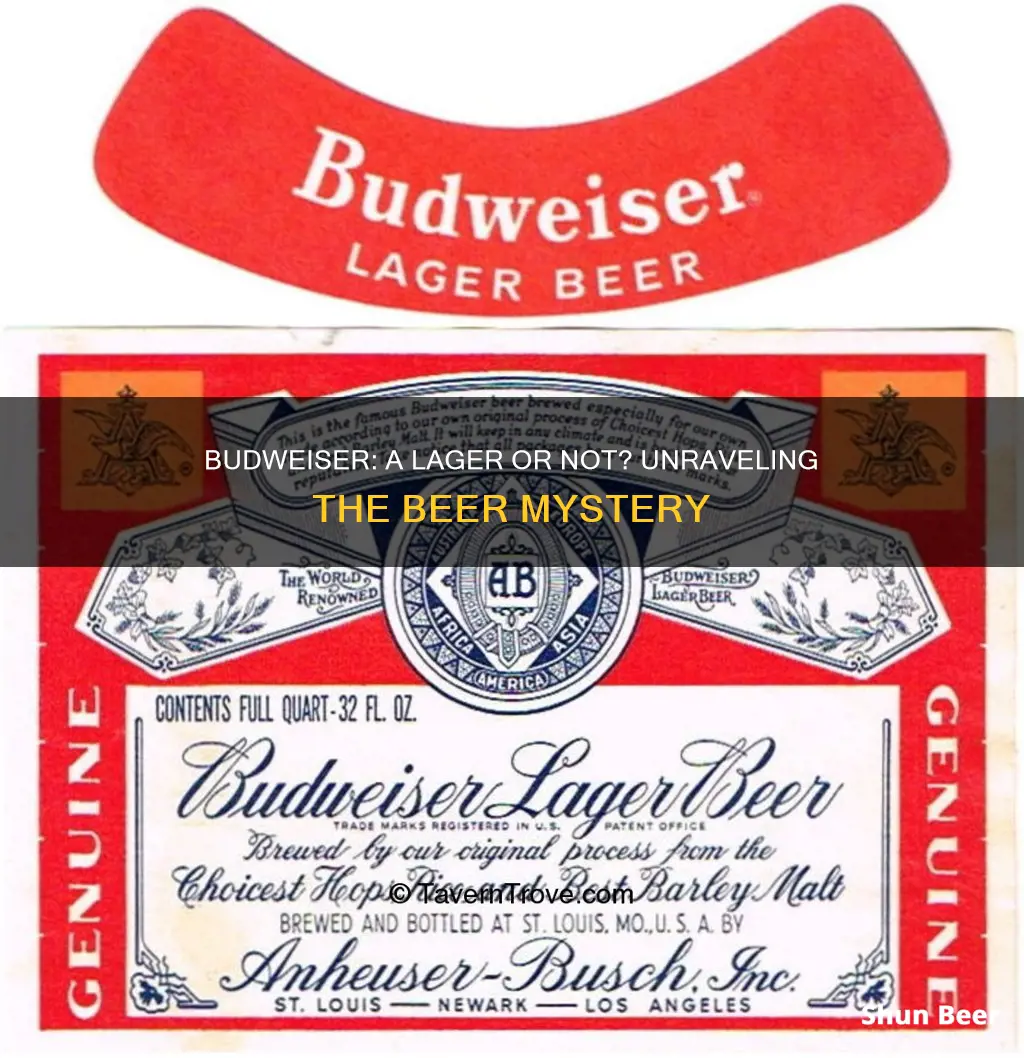 is budweiser a lager beer