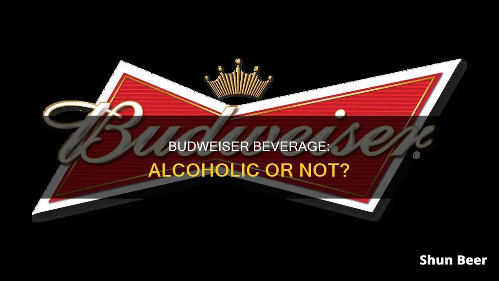 is budweiser an alcoholic drink