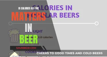 Calories in Beer: Does Counting Them Really Matter?