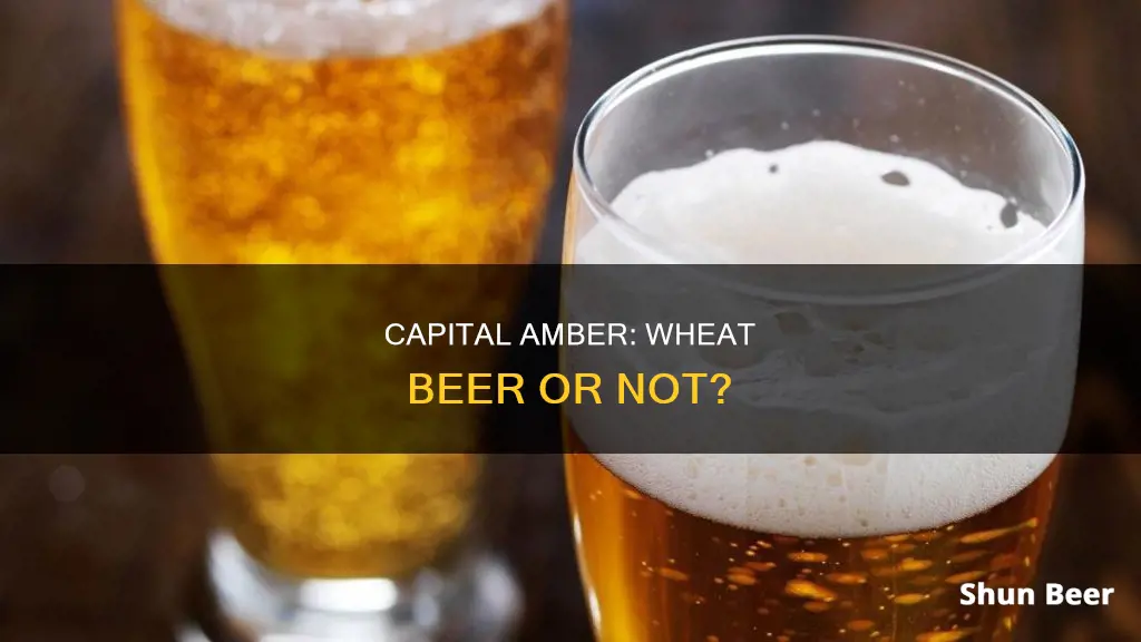 is capital amber a wheat beer